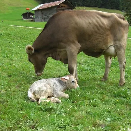Im Hoefle Lägenhet Mittelberg