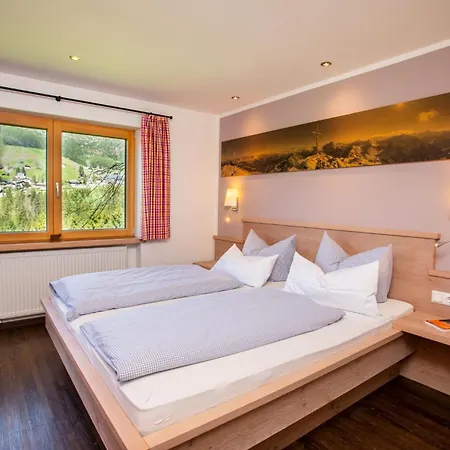 Im Hoefle Appartement Mittelberg